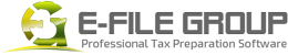 E-File Group - Professional Tax Services & Software
