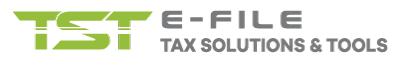 E-File Group - Professional Tax Services & Software